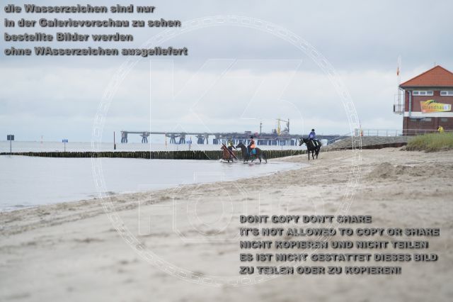 s_K3F04783.JPG